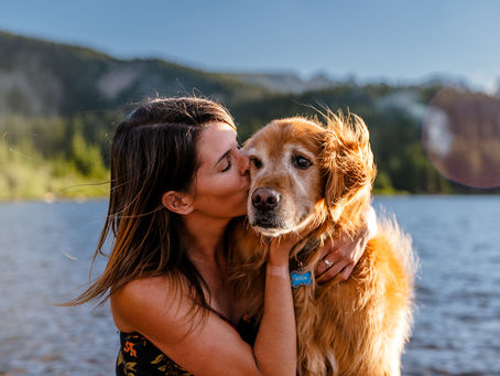 Client Stories: A Decade of Koda