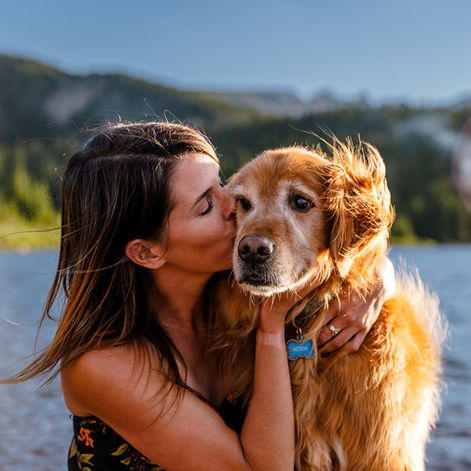 Client Stories: A Decade of Koda