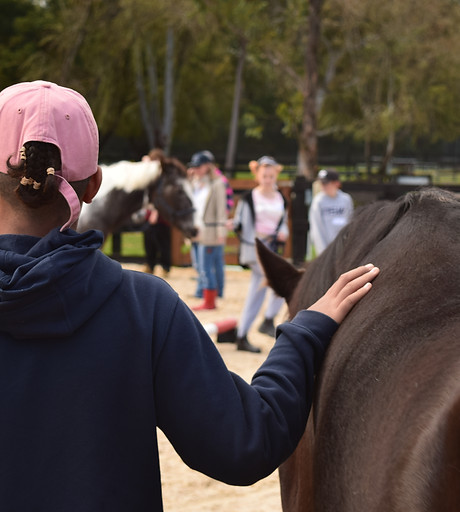 Feather Ranch Equine | Taber, AB | Skills For Life Programs