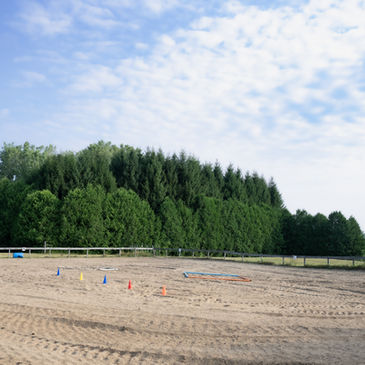 Beautiful natural surroundings at Touch of Maple creating a calm space for connection and healing.