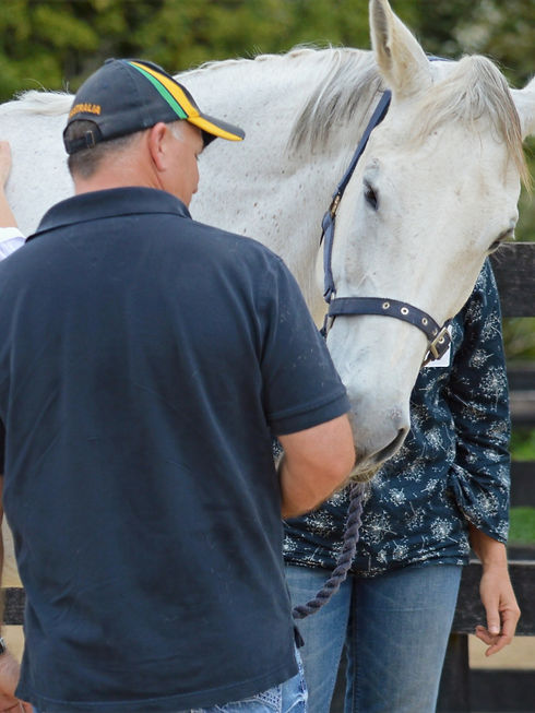 Organization partnering with Touch of Maple for client life skills development.