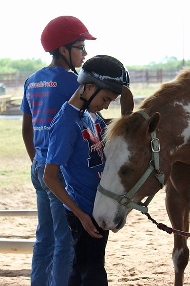anti bullying for youth rocky mountain house