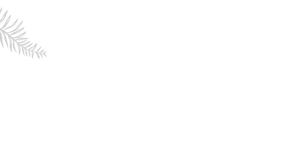 White Grey Law Firm Clean Grids Law Firm Website (1)_edited.jpg