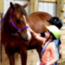 horsemanship lessons for kids