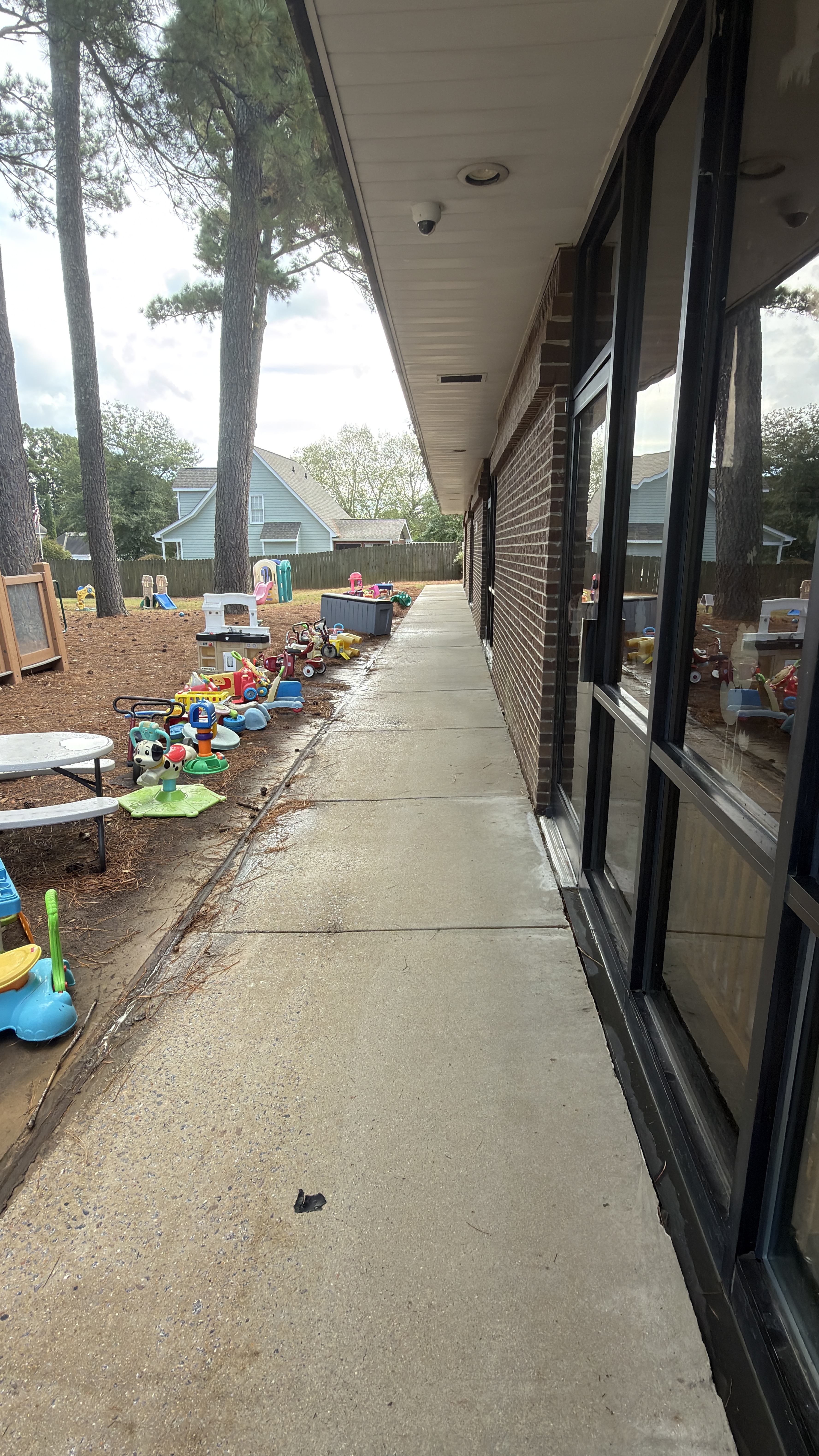 Expert cleaning service in Raleigh, North Carolina from Green Eagle