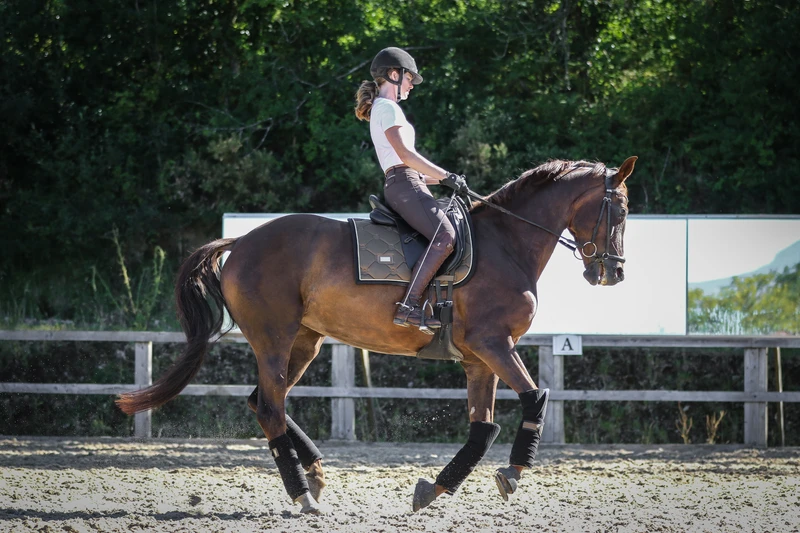 Rider biomechanics in the canter