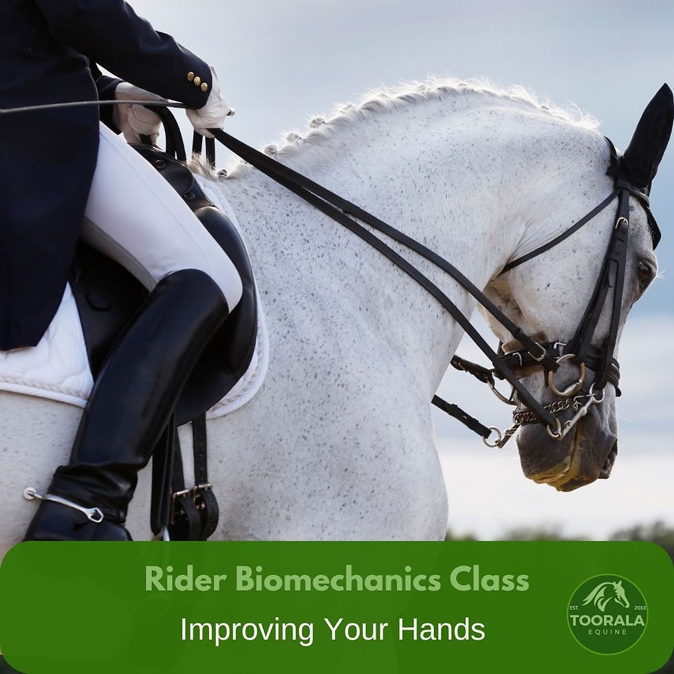 Rider Biomechanics Class - Improving Your Hands