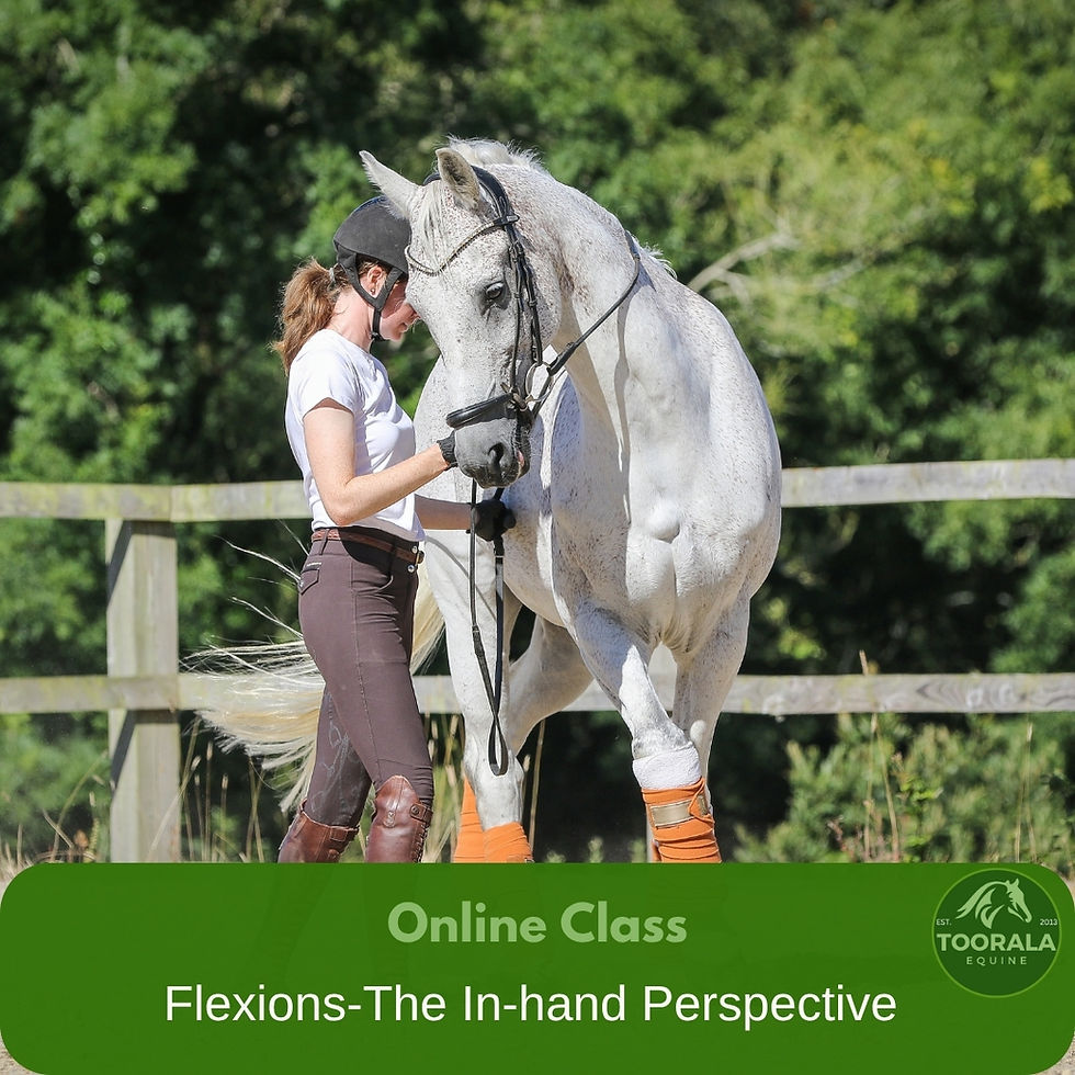 Online Class - Flexions-The In-hand Perspective