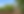 241-rodriguez-orig-25_edited.png