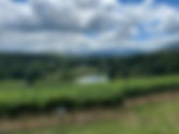 Wine Weekend Through Northern Georgia