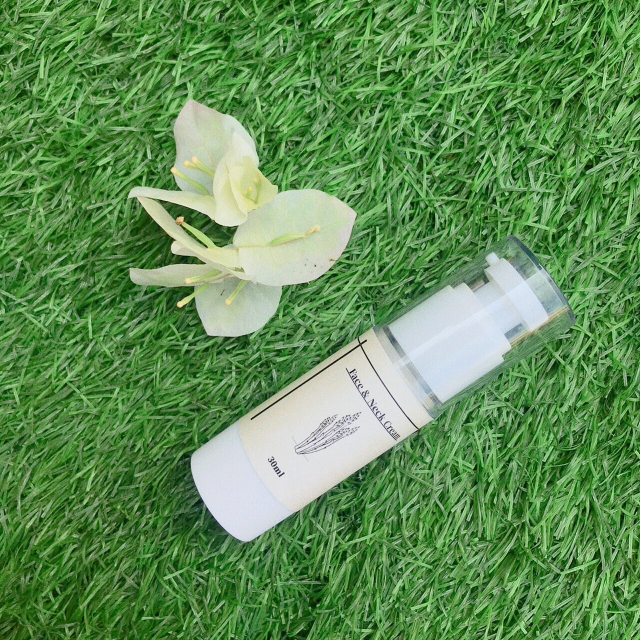 Face & Neck Cream