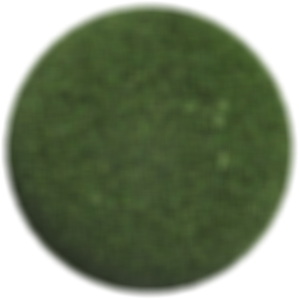 Grass Ball.jpg.png