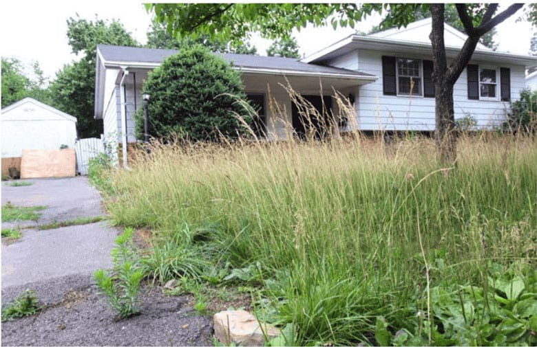 Selling an Inherited House in Ontario: Probate, Taxes, and Your 3 Options