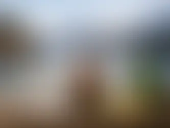 北欧 クラフトジン 比較で見える6つの違い