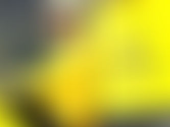 [Volume.1 honestbee]Singapore Delivery Service Provider