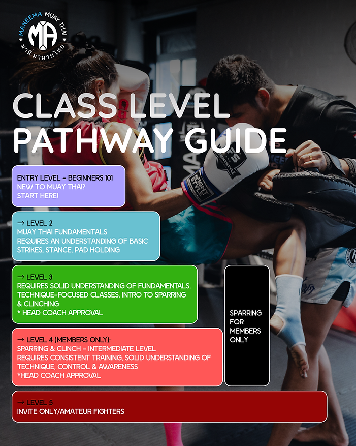 level guide1.png