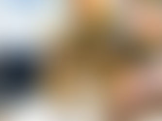 2026台中貓展×寵物用品展7/17登場｜看展住台中平價住宿，NT$800起逛展基地