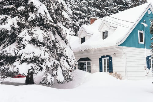 White house covered with snow next to pine trees