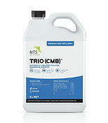 TRIO (CMB).jpg