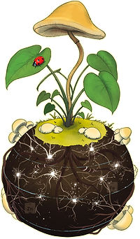 קומפוסטי מעשיר את הקרקע במגוון ובכמות של מיקרואורגניזמים מועילים לקרקע ולצמח