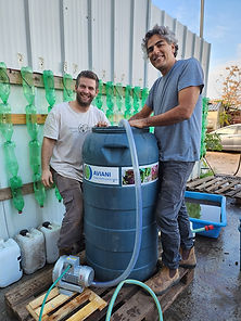 תיקומיקס אביאני.jpg