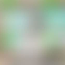 Navigate the Growing World of AI Stock Investments