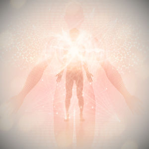 Energy Anatomy