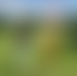 From Fairways to Pathways: Course Management: Strategy Over Strength🧠💪⛳