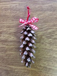 pine-cone1-rotated.jpg