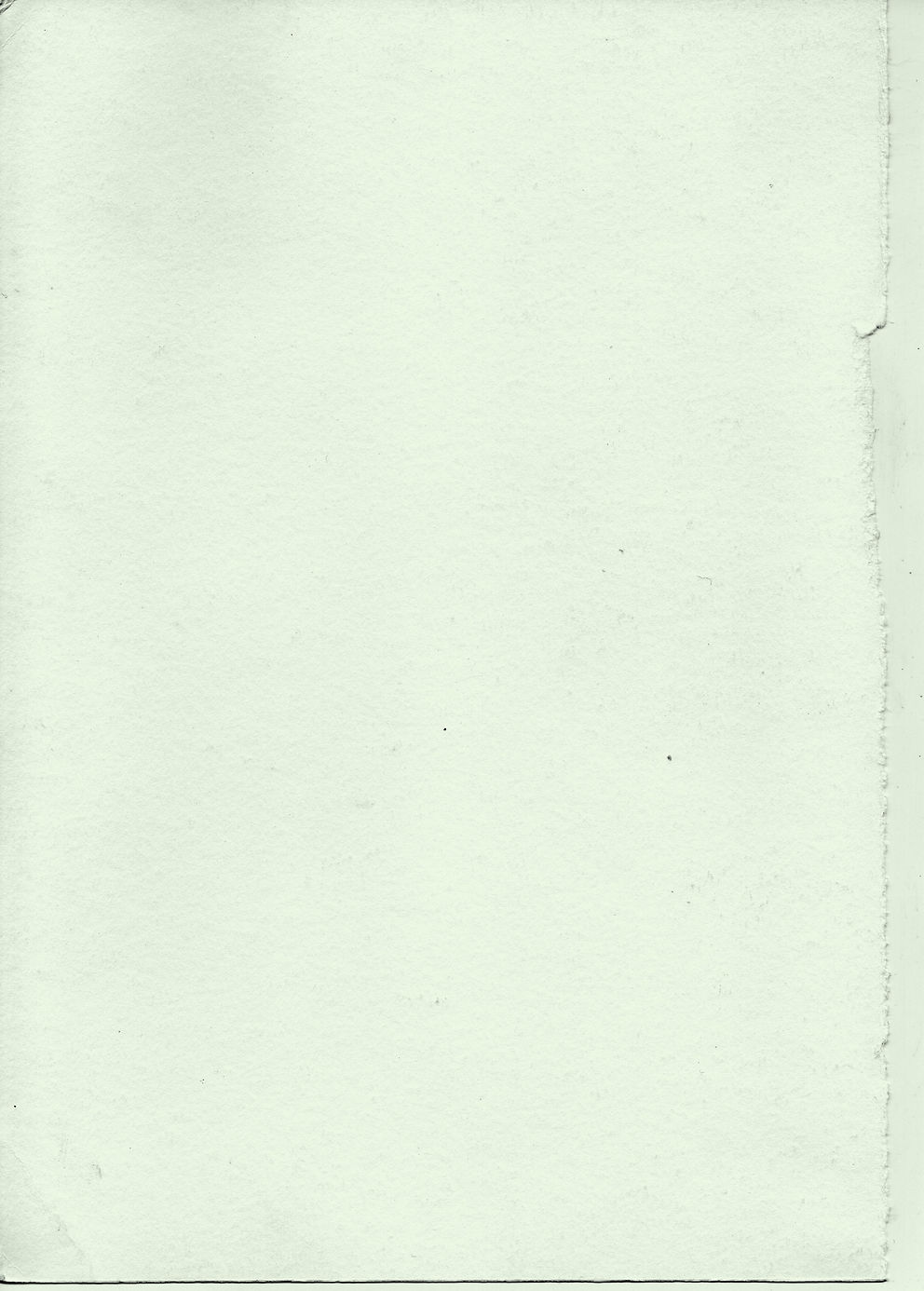 GreenPaperTextureEvenLighter_SMALL_edite