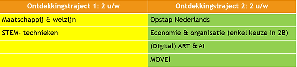 keuzevakken 1B.png