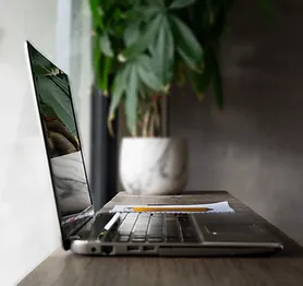 Laptop Plant Reflection.webp