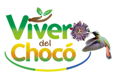 VIVERO LOGO_ ILLUSTRATOR_Mesa de trabajo 1.png