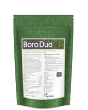 BORO-DUO_edited_edited.png