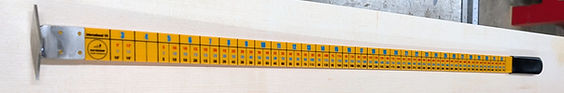 PXL_20251031_150353732_edited.jpg