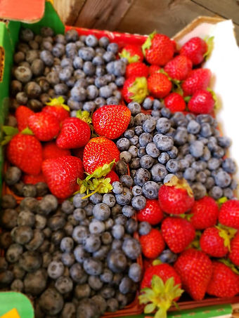 fruits
