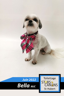 bella-mjc.jpg