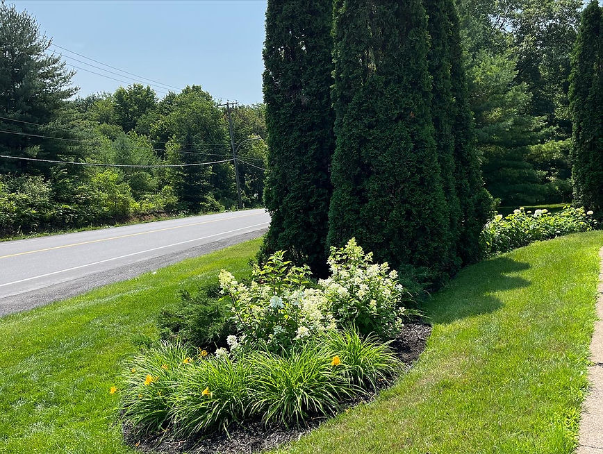 434F88D8-2D9C-40D7-8C34-BDD16878EDB9 Photos.jpeg