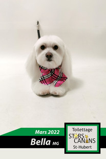 bella-mg.jpg