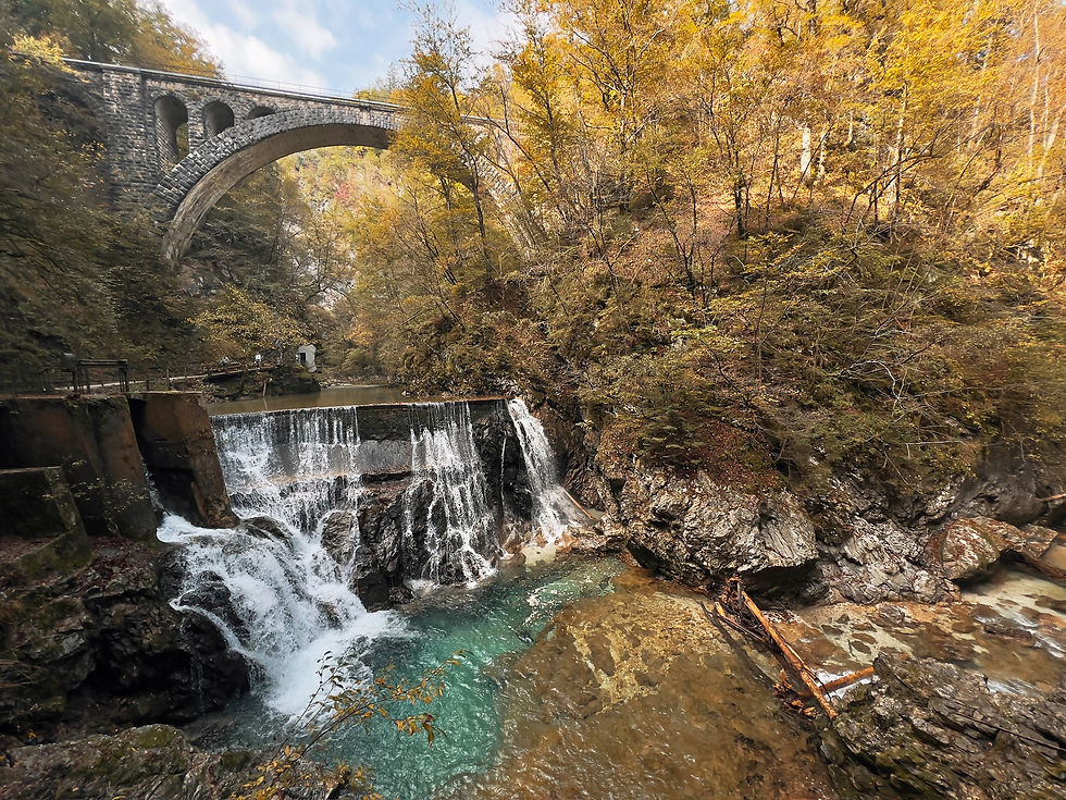 Stone bridge arches over a serene waterfall with clear water. Surrounding forest has vibrant autumn foliage. Peaceful, natural setting.