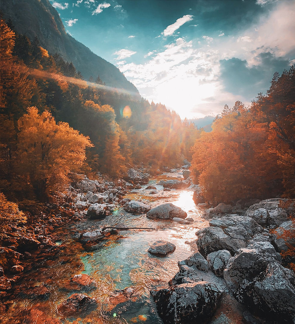 Sunny autumn scene with a river flowing through a rocky forest. Trees display vibrant orange foliage under a bright, partly cloudy sky.