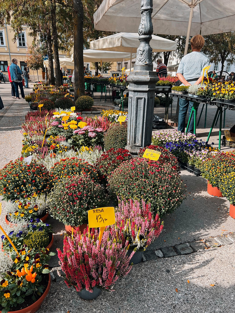 Flowers and plants at the Ljubljana farmers market.