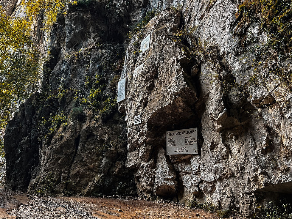 Rocky cliff with signs reading "Škocjanske Jame" and UNESCO details. Lush greenery grows on the rocks, creating a serene atmosphere.