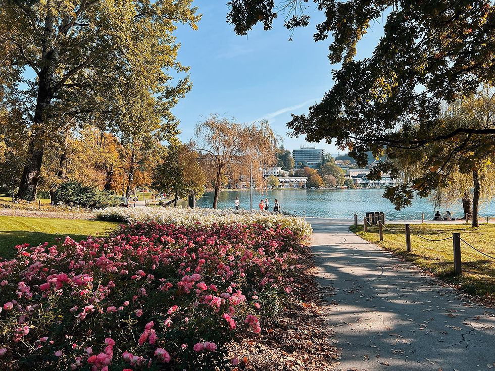 Path through a park with pink flowers and trees leading to Lake Bled. People sit and walk by the water. Sunny day, calm and serene setting.
