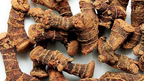 SPS MARKETING Organics Chitharathai/Kulanjan/Lesser Galangal/Sitharathai/Herbals Premium Organic Quality(50g) : Amazon.in: Health & Personal Care