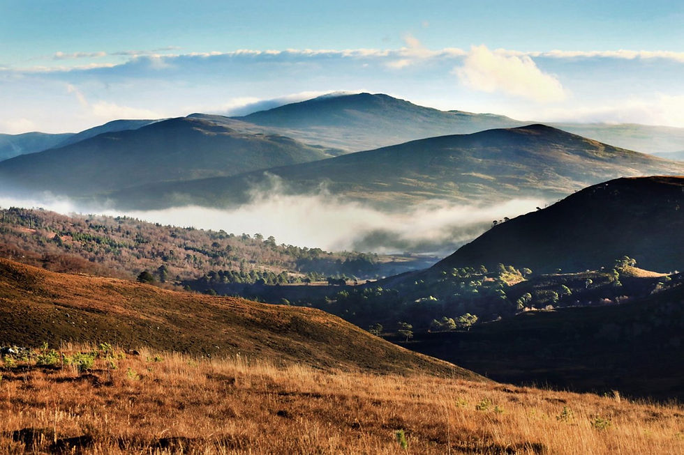 3 Day Workshop - Alladale Wilderness Reserve, Scotland ( 1 Dec 2020 )