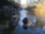 IMG_20201107_125402.jpg