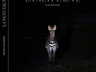 EDITIONS DE JUILLET Publications