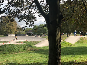 track with tree in front.jpeg