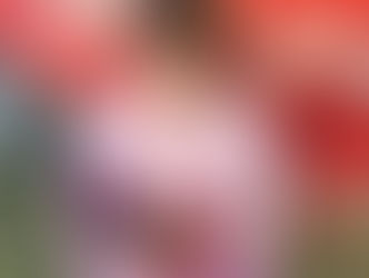 あけまして おめでとうございます。